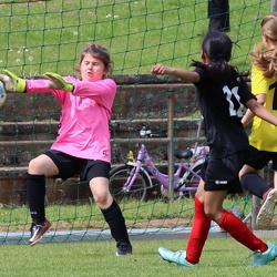 E-Juniorinnen SVR 2012/2013